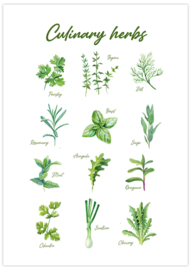 Culinary Herbs poster