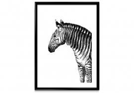 Zebra zwart wit poster