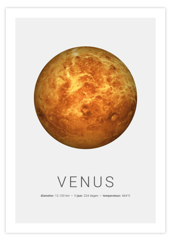 Poster van Venus