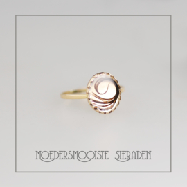 Haarlokring Taus Oval Goud