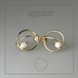 Anthurium Oorhanger #1 Gold