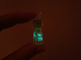 Bedel kat glow in the dark