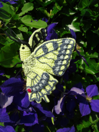 Garenpakket | Miekscreaties Koninginnepage  Vlinder