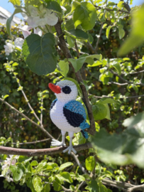 Garenpakket | Miekscreaties Senegal ijsvogel