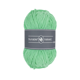 Durable Velvet - 2137 Mint