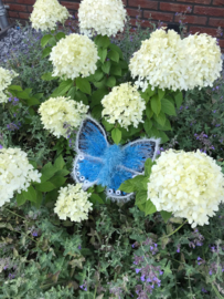Garenpakket | Miekscreaties Bleekblauw  Vlinder