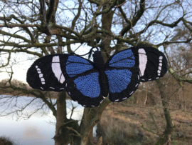 Garenpakket | Miekscreaties Saron Longwing Vlinder