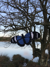 Garenpakket | Miekscreaties Saron Longwing Vlinder