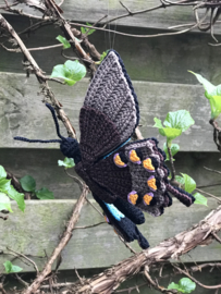 Garenpakket | Miekscreaties  Blauwe Tropische Vlinder