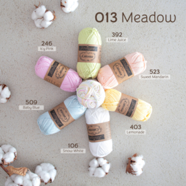 Scheepjes Catona Chroma 50 gram - Meadow 013