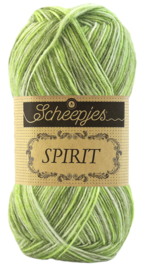 Pakket: 3 bollen Spirit - Grasshopper 307