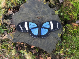 Garenpakket | Miekscreaties Saron Longwing Vlinder