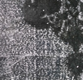 Handcarved Vloerkleed 3424haliduz30833-203x295-5,98m2