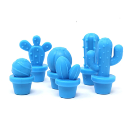 Cactus Tellers | Learning Resources |  72 dlg.