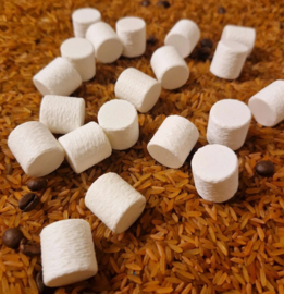 Chocolade & Koekjes | 45 dlg.