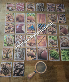 E-Herfstbundel | Herfstzoekkaarten & De herfstboom