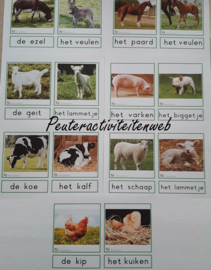 E-Woordkaarten Jonge Dieren