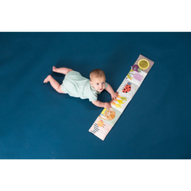 Stoffen Kijk en Voel Babyboek  met bijtring | Taf Toys