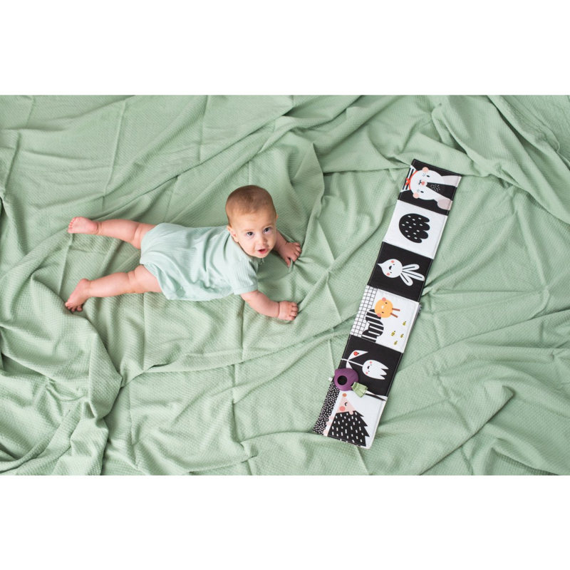 Stoffen Kijk en Voel Babyboek  met bijtring | Taf Toys