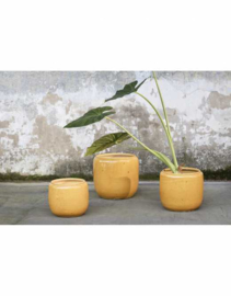 Flower Pot Costa - Honey - L - Serax