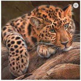painting luipaard