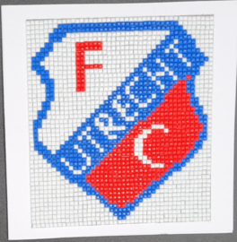 12. fc utrecht