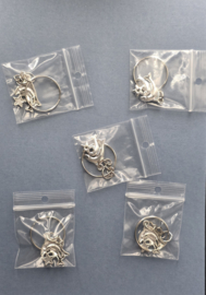 sleutelhanger vissen