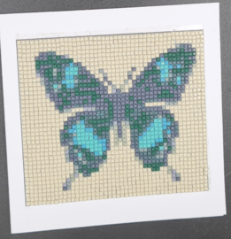 69.vlinder 2