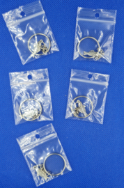 sleutelhanger  vis
