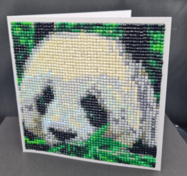 94. Panda beer