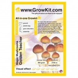 GoldenTeacher, All in one Growkit magic mushroom 1200cc