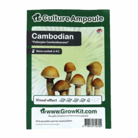 Cambodgien – Culture Ampoule Set