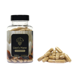 Lion’s Mane extract  120 capsules