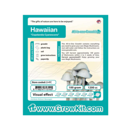 Hawaiian Grow Kit - 1200 cc (Psilocybe Copelandia)