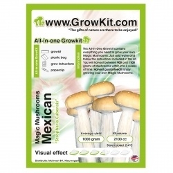 Mexican, All in one Growkit magic mushroom 1200cc