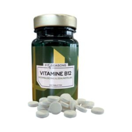 Vitamin B12 - 240 tabletter
