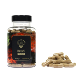Reishi extract capsules – 120 pieces