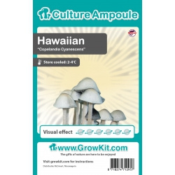 Hawaiian spore di funghi magici