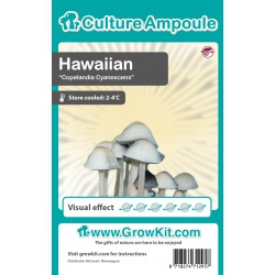 Hawaiian magiske svampe sporer