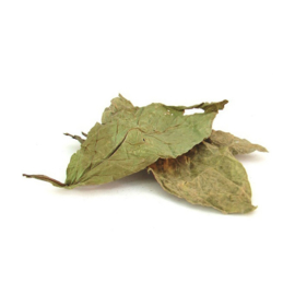 DMT-Psychotria Viridis - Chacruna - löv - 50 gram