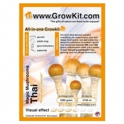 Thai, Alles in einem Growkit Magic Mushroom 1200cc