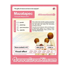 Kit de culture Mazatapec – 1200 cc