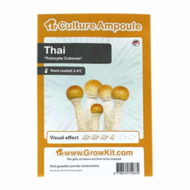 Thai – Culture Ampoule Set