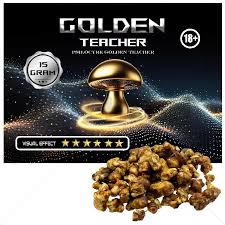Psilocybe Golden Teacher 15 gramas