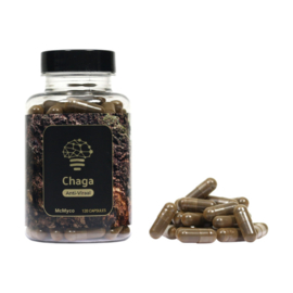 Chaga extract capsules – 120 pieces