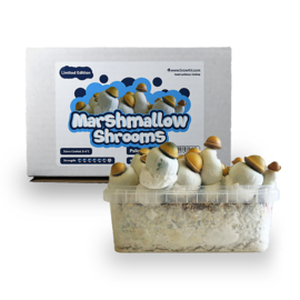 Marshmallow Shrooms Growkit - 1200 CC