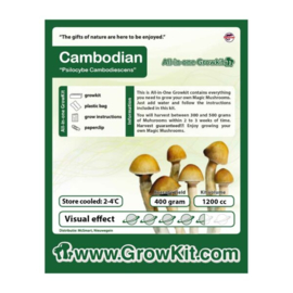 Cambodian Grow Kit – 1200 cc