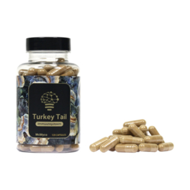 Turkey Tail extract 120 kapslar