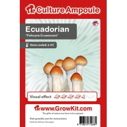 Ecuadorian magiske svampe sporer
