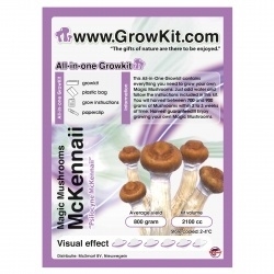 McKennaii, tout en un Growkit champignon magique 1200cc